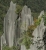 Pinnacles (Foto: chari , Gunung Mulu National Park, Sarawak, Malaysia am 06.03.2011) [2398]