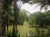 Garten und Teich des SJR (Foto: chari , Sepilok, Sabah, Malaysia am 30.08.2014) [4295]