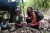 Nette Begegnung mit einem Farmer-Ehepaar: hier bei der Candlenut-Ernte (Foto: katarina , Danau Toba, Sumatra, Indonesien am 27.04.2015) [4448]