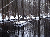 Winterlich (Foto: philip , Siehdichum, Ostbrandenburgisches Heide- und Seengebiet 82, Deutschland am 23.01.2010) [1827]