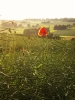 unterwegs (Foto: katarina , Burg Waldeck, Hunsrück 24, Deutschland am 12.06.2009) [2072]