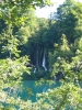 Plitvice (Foto: ponco , Plitvicer Seen, Mittelkroatien, Kroatien am 15.07.2007) [2097]