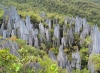 Pinnacles (Foto: chari , Gunung Mulu National Park, Sarawak, Malaysia am 06.03.2011) [2192]