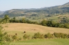  (Foto: ponco , Mokra Gora, Okrug Zlatibor, Serbien am 29.08.2011) [2449]