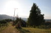  (Foto: ponco , Mokra Gora, Okrug Zlatibor, Serbien am 29.08.2011) [2463]