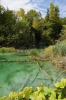  (Foto: ponco , Plitvicer Seen, Mittelkroatien, Kroatien am 05.09.2011) [2494]