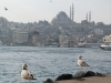 Istanbul-Blick vom Boot aus (Foto: katarina , Istanbul, Istanbul, Türkei am 28.11.2011) [2599]