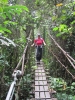mittlerweile Spezialistin für Hängebrücken (Foto: katarina , Gunung Mulu National Park, Sarawak, Malaysia am 04.01.2012) [2806]