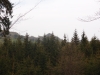 erster Blick auf den Tolštejn vom Weg am großen Eibenberg (Velká Tisová) (Foto: philip , Tolštejn, Lausitzer Gebirge, Tschechien am 29.04.2012) [3117]