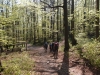 Lauscheborn. Rechts beginnt der Gipfelanstieg auf die Lausche von Norden aus (Foto: philip , Lausche, Sächsisch-Böhmisches Kreidesandsteingebiet 43, Deutschland am 30.04.2012) [3161]