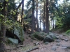 in der großen Felsengasse (Foto: philip , Oybin, Sächsisch-Böhmisches Kreidesandsteingebiet 43, Deutschland am 01.05.2012) [3248]