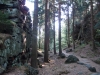 In der großen Felsengasse (Foto: philip , Oybin, Sächsisch-Böhmisches Kreidesandsteingebiet 43, Deutschland am 01.05.2012) [3249]