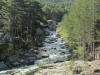 Blick auf den Tavignano von der Segahütte (Foto: chari , Refuge de Sega, Korsika, Frankreich am 24.05.2012) [3398]