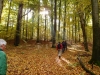 Der Sonne entgegen, Herbstwanderer im Brunstal (Foto: philip , Nationalpark Hainich, Thüringer Becken 47 48, Deutschland am 19.10.2013) [3992]