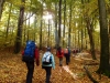 Herbst-Erlebnis, wie aus dem Bilderbuch! (Foto: philip , Nationalpark Hainich, Thüringer Becken 47 48, Deutschland am 19.10.2013) [3993]