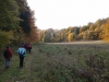 im Kalkgrund (Foto: philip , Nationalpark Hainich, Thüringer Becken 47 48, Deutschland am 19.10.2013) [4025]