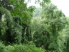 Welcome to the jungle! (Foto: Christian Dudek , Penti, Korsika, Frankreich am 25.08.2013) [4039]