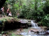 Abenteurerinnen (Foto: chari , Bako National Park, Sarawak, Malaysia am 01.01.2014) [4155]