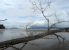 Bako mit Blick auf die Halbinsel Santubong (Foto: katarina , Bako National Park, Sarawak, Malaysia am 02.01.2014) [4139]