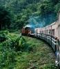 North Borneo Railway nach Tenom (Foto: chari , Sungai Padas, Sabah, Malaysia am 07.06.2005) [4249]