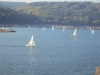 Rursee (Foto: 1958 , Monschau, Osteifel 27, Deutschland am 02.10.2011) [4622]