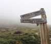 Holzschild am Pass (Foto: chari , Bocca a l'Arinella, Korsika, Frankreich am 08.10.2018) [5089]