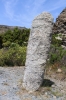 die breite Seite des Menhirs (Foto: chari , Menhire am Pinzu a Verghine, Korsika, Frankreich am 21.06.2019) [5217]
