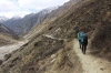 meist guter Weg (Foto: chari , Gangotri National Park, Uttarakhand, Indien am 07.05.2019) [5254]