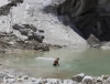 Gaumukh - Bad im Schmelzwasser (Foto: chari , Gangotri National Park, Uttarakhand, Indien am 07.05.2019) [5261]