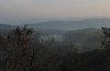 Blick auf den Damm im Morgennebel (Foto: chari , Neyyar Dam, Kerala, Indien am 07.02.2020) [5347]