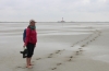 Weg übers Watt (Foto: chari , Westerhever, Schleswig-Holsteinische Marschen und Nordseeinseln 68, Deutschland am 02.05.2021) [5405]