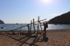 Strandgut am Plage de Tuara (Foto: katarina , Girolata, Korsika, Frankreich am 07.08.2021) [5437]