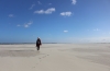weiter Strand nach Osten (Foto: chari , Langeoog, Ems- und Wesermarschen 61, Deutschland am 16.10.2022) [5526]