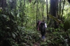 Aufbruch in den Regenwald - Summit Trail (Foto: chari , Gunung Mulu National Park, Sarawak, Malaysia am 30.01.2023) [5641]