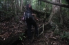 Aufstieg zum Camp 3 durch den Wald (Foto: chari , Gunung Mulu National Park, Sarawak, Malaysia am 30.01.2023) [5644]