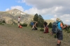 Blick zurück zum Gipfel (Foto: chari , Smolikas, Epirus, Griechenland am 20.06.2023) [5699]