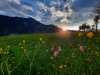 Sonnenuntergang oberhalb des Sivananda Zentrums (Foto: katarina , Reith bei Kitzbühel, Tirol, Österreich am 12.05.2024) [5915]