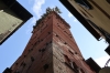 Torre Guinigi (Foto: chari , Lucca, Toskana, Italien am 16.05.2024) [5917]