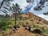 Foce d'Ortu (Foto: katarina , Ota, Korsika, Frankreich am 30.05.2024) [5961]