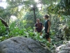  (Foto: katarina , Bako National Park, Sarawak, Malaysia am 10.12.2009) [209]