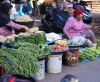 Markthändlerinnen (Foto: chari , Padang, Sumatra, Indonesien am 02.04.2025) [6069]