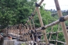 Bambusbrücke (Foto: chari , Bukit Lawang, Sumatra, Indonesien am 06.04.2025) [6075]