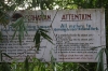 kein Eingang ohne Guide oder Permit (Foto: chari , Bukit Lawang, Sumatra, Indonesien am 07.04.2025) [6083]