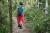 Weg durch den Regenwald (Foto: chari , Bukit Lawang, Sumatra, Indonesien am 07.04.2025) [6084]