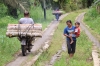 Holztransport auf Moped (Foto: chari , Bukit Lawang, Sumatra, Indonesien am 11.04.2025) [6119]