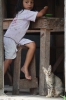 Mittagspause mit Katze (Foto: chari , Samosir, Sumatra, Indonesien am 15.04.2025) [6126]