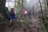 Aufstieg über Wurzeln (Foto: chari , Gunung Kerinci, Sumatra, Indonesien am 20.04.2025) [6170]