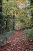 Shirsasana im Herbstwald (Foto: chari , Bielefeld, Unteres Weserbergland 53, Deutschland am 01.11.2025) [6226]