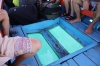 Glas-Bottom-Boat auf der Überfahrt nach Gili Meno (Foto: chari , Gili Meno, Lombok, Indonesien am 13.07.2026) [6309]