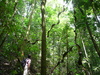  (Foto: katarina , Gunung Gading National Park, Sarawak, Malaysia am 09.12.2009) [155]